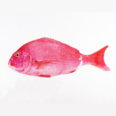 真鯛アメ（大）